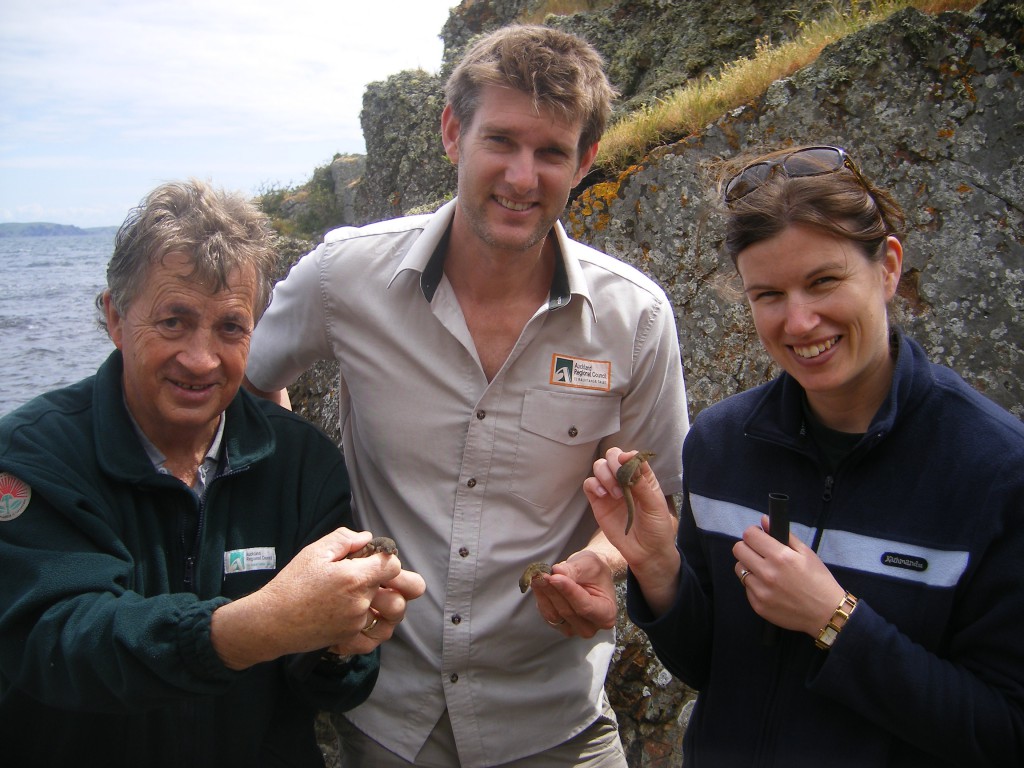Mike Lee, Matt Baber and Melinda Rixon - releasing geckoes on Crusoe Island in October 2010 (photo Diana Worthy, Gulf News)