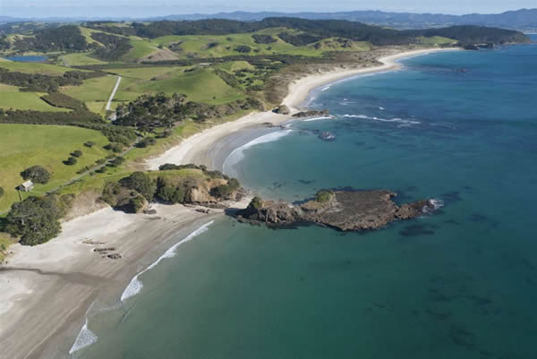 Tawharanui Regional Park (and open sanctuary) and the new marine reserve
